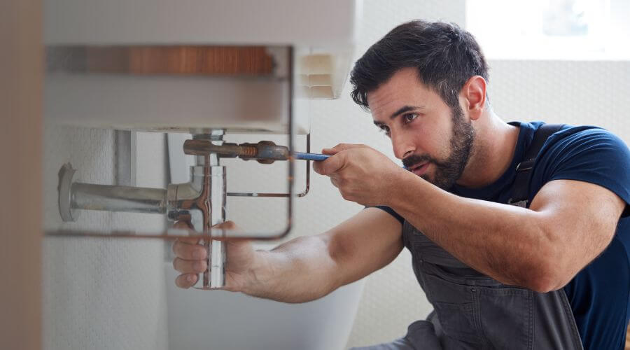 Trap Repair/Replacement in Felton, DE